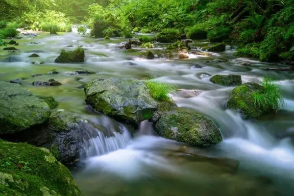 Single Event Featured Image